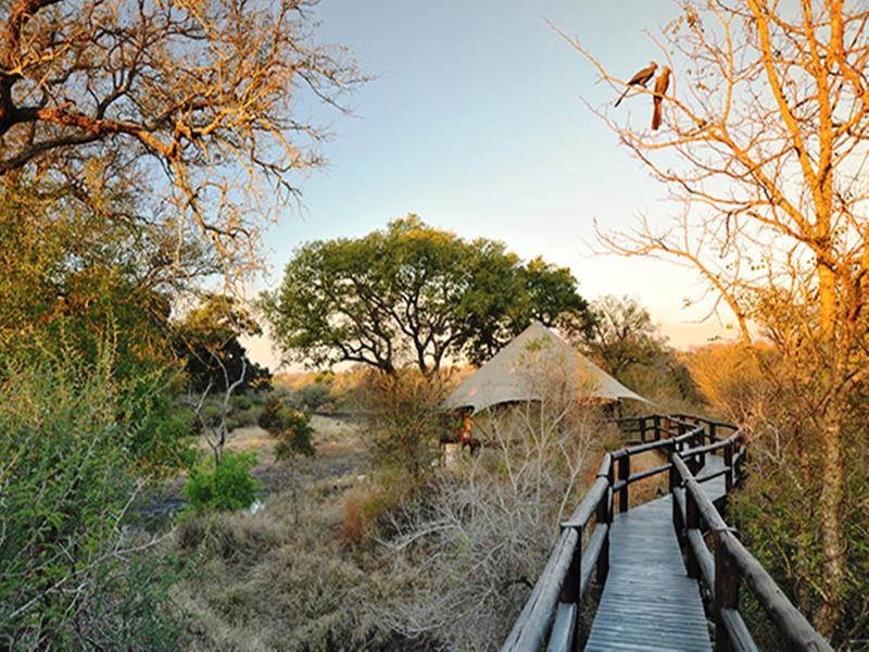 Hamiltons Tented Camp Mluwati Concession Exterior foto